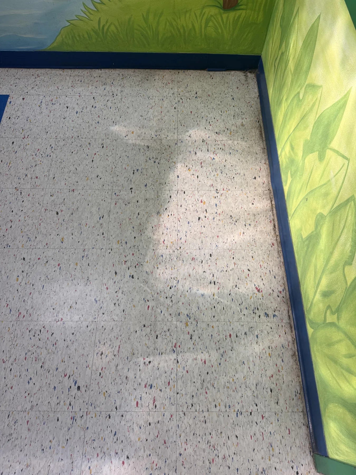 Floor Stripping & Waxing Project 6 Before